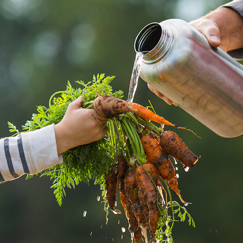 64oz-wide-with-loop-cap-t4 64oz_wide_mouth_bottle_carrots_rinse_square.jpg