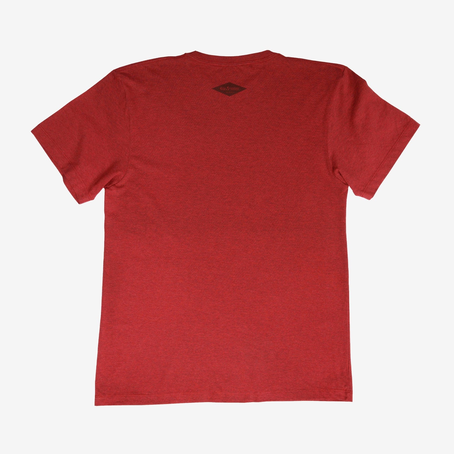 backyard-t-shirt-g6 Shirt_Mtn_Back.jpg